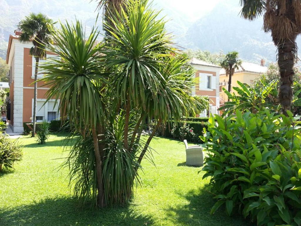 Apartments Vojin Risan Εξωτερικό φωτογραφία
